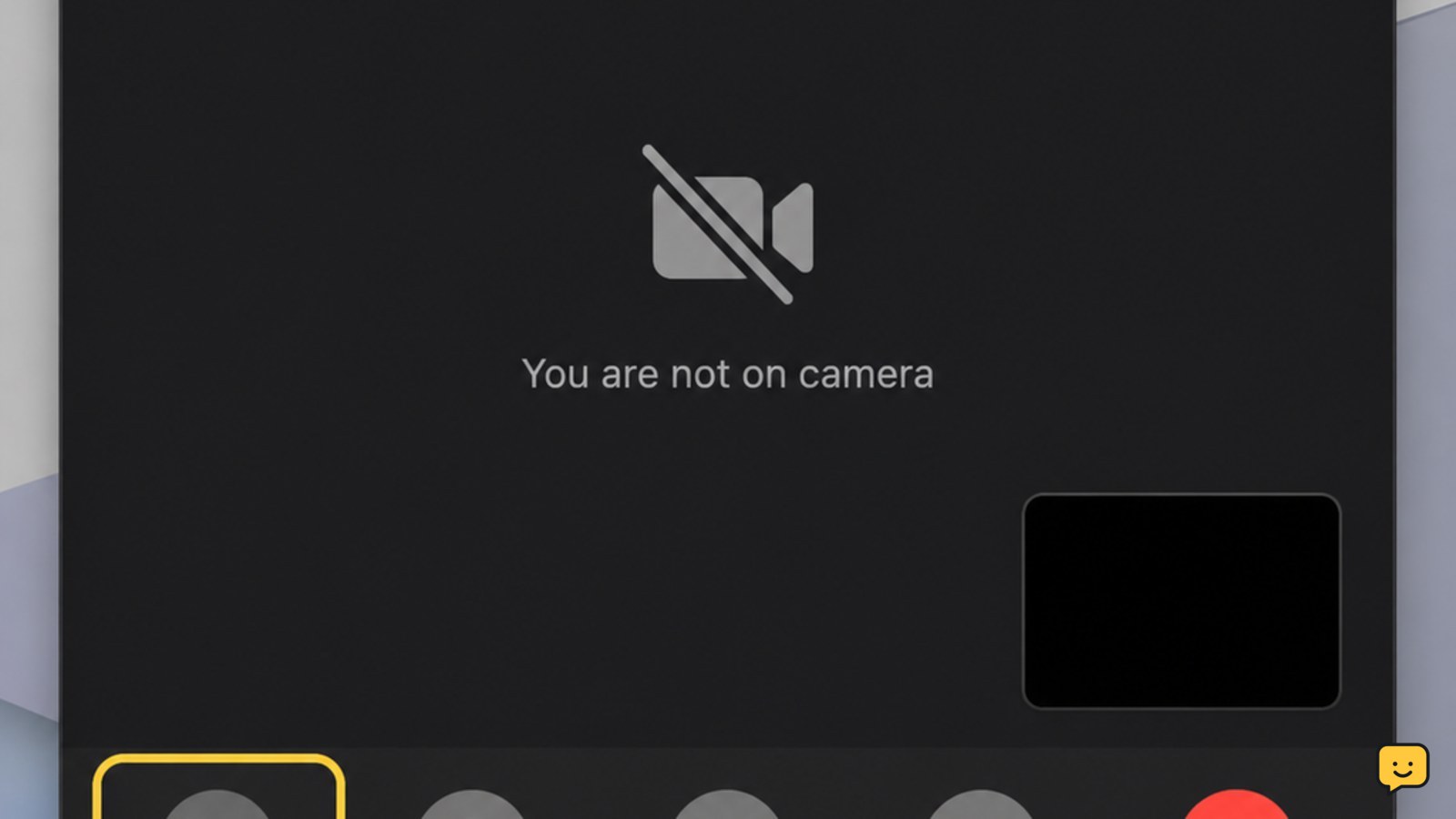 FaceTime call window with the camera paused and video controls visible