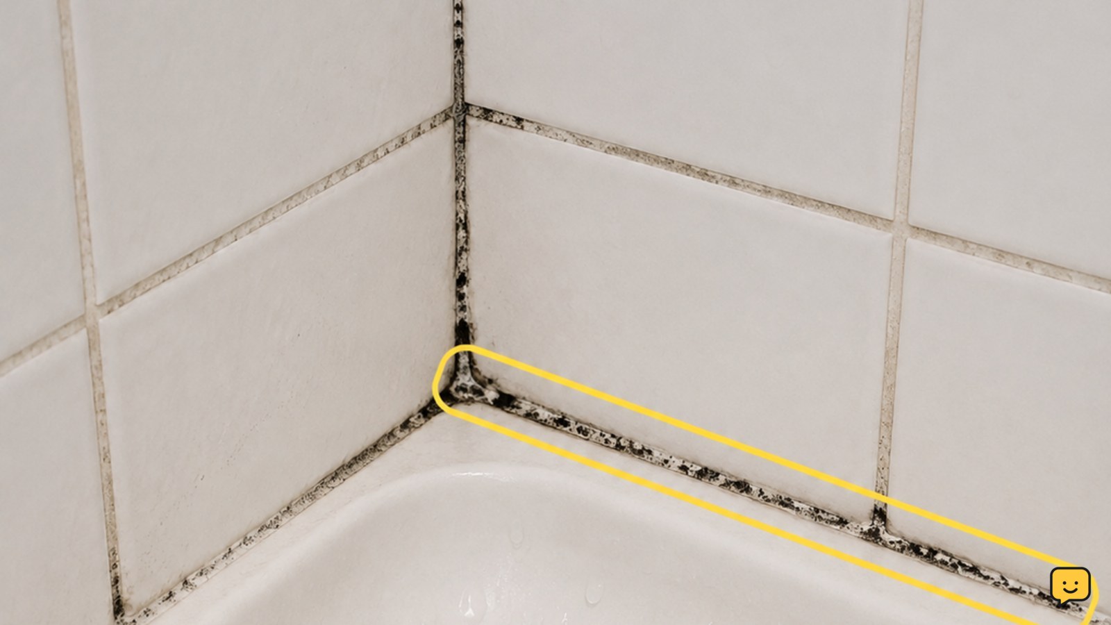 Small patch of mold on shower tile and grout near a caulk joint