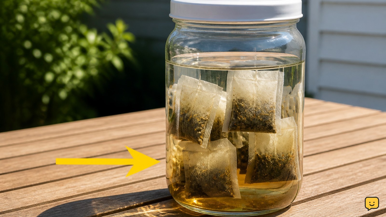 Covered glass jar of tea bags and water standing upright in direct sunlight